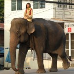 Begegnungen auf der Fahrradtour