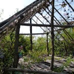Die Honeymoon Suite der Dorfbewohner