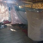 Ohne Mosquitonetz wäre die Nacht nicht ganz so angenehmen gewsesen