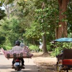 Plötzlich hatte uns ein Schweinetransport überholt - Mit lebenden Schweinen