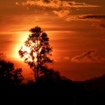 Unglaubliches Bild vom Sonnenuntergang