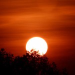 Wunderschöne Farben