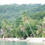 Paradiesisch