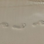 Überall hinterlassen wir unsere Spuren.