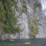 Kajaks im Milford Sound