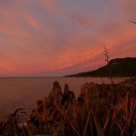 Küste in Punakaiki