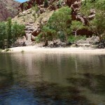 Tag 10 - Der See am Ormiston Gorge. Eine Oase in der Wüste.