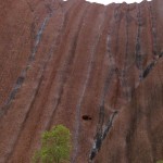 Tag 7 - An den dunklen stellen fließt das Regenwasser den Berg hinunter.