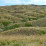 Tag 9 - Die Rolling Hills in den Mc Donnald Ranges.