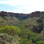 Tag 9 - Die Schlucht des Kings Canyon.