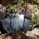 Tag 9 - Eine Oase mitten in der Wüste.