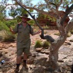 Tag 9 - Ross erklärt, wie der Ghost-Gum Tree in der Hitze überleben kann.
