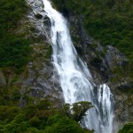 Wasserfälle am Milford Sound