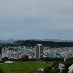 Aussicht auf Wellington