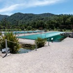 Das sind die Zuchtbecken, in denen tausende von Lachsen wuseln.