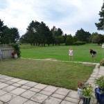 Ein kleines Spiel im Garten der Fulchers