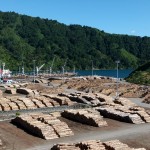 Holzlager in einer Bucht vor Picton Harbour