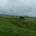 auf dem Weg nach Hobbiton